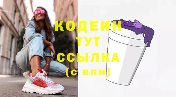 дживик Заводоуковск