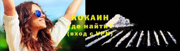 тгк Медногорск