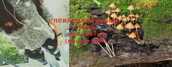 дживик Заводоуковск