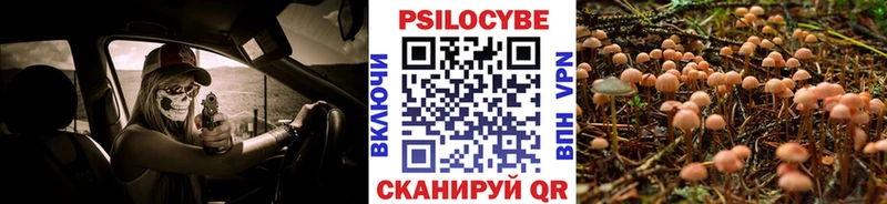 Галлюциногенные грибы прущие грибы  Купить  Звенигово 